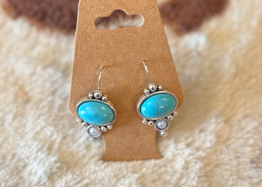 Oval Earrings