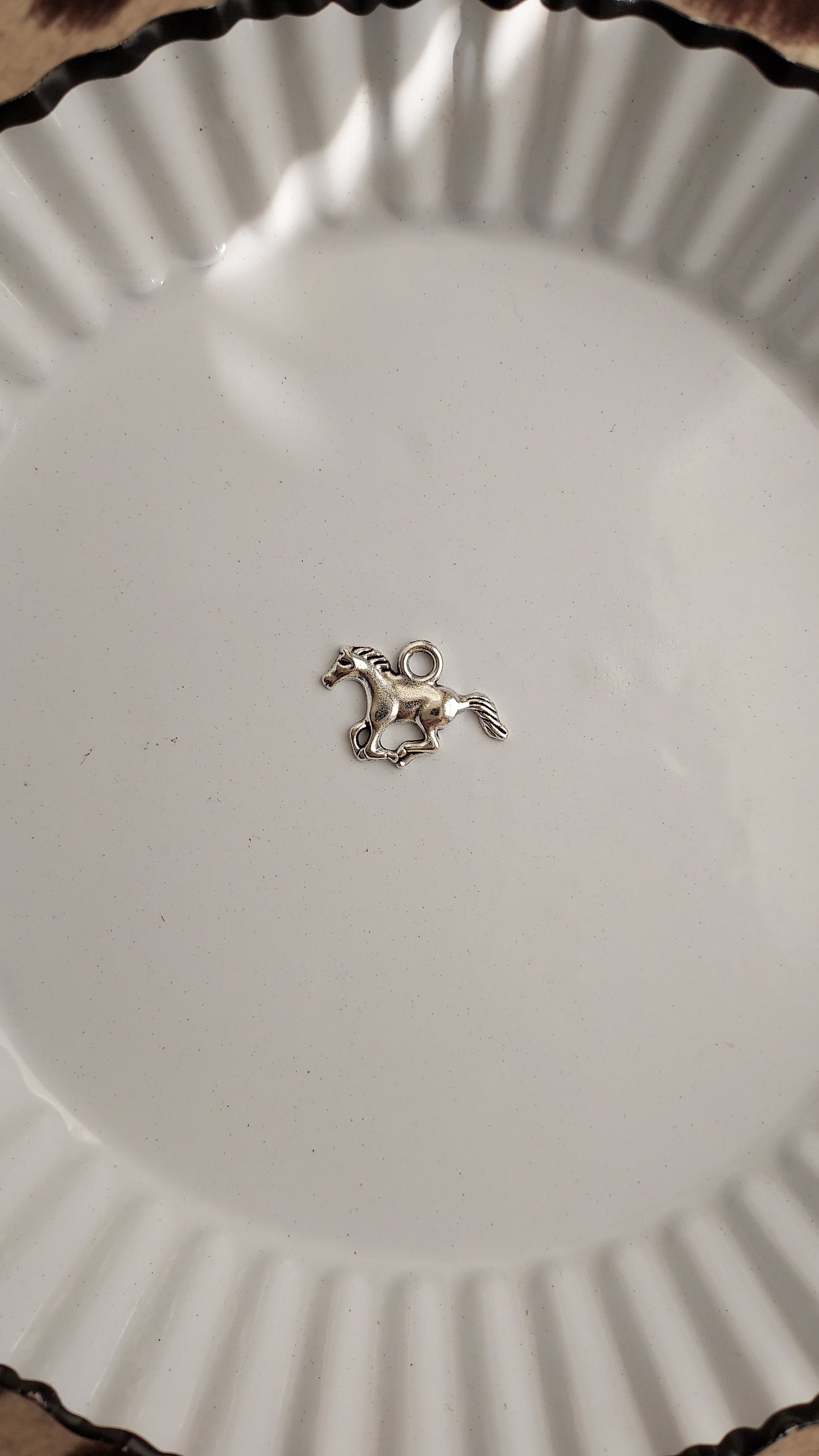 Out West Charm Necklace